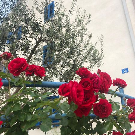 Olive Tree Apartments Umag Zewnętrze zdjęcie