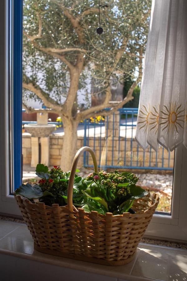Olive Tree Apartments Umag Zewnętrze zdjęcie
