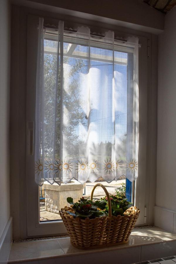 Olive Tree Apartments Umag Zewnętrze zdjęcie