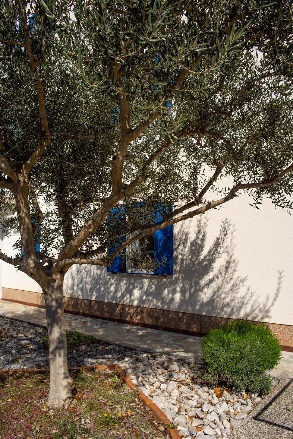 Olive Tree Apartments Umag Zewnętrze zdjęcie