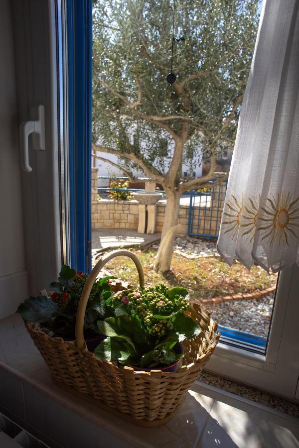 Olive Tree Apartments Umag Zewnętrze zdjęcie