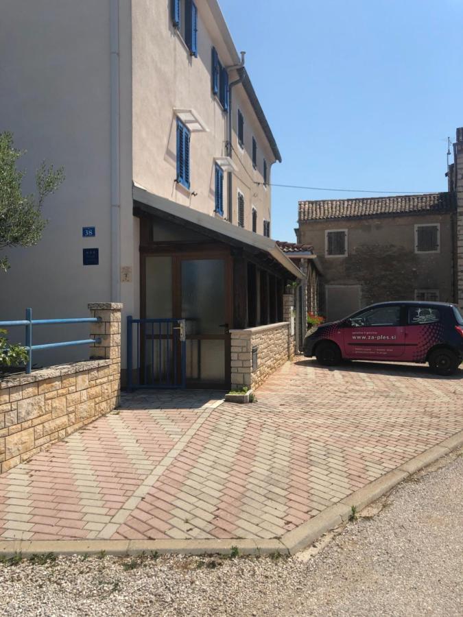 Olive Tree Apartments Umag Zewnętrze zdjęcie